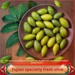 Minzhen Fresh Olive 1000g Green Olives Straight Hair 2 Bags Fuzhou Specialty Minqing Sandalwood Olive Olive Fruit