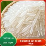Seasonal cat tooth rice, freshly ground new rice, long-grain fragrant rice, silk seedlings, fragrant rice, indica rice, farmhouse claypot rice wholesale