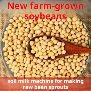 Soybean soybean sprouts for making soy milk, soybean sprout powder, soybean farmers' homegrown, non-GMO, seasonal soybeans